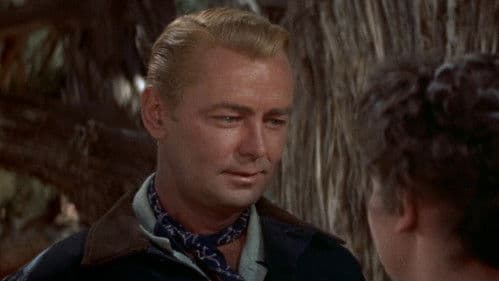 Der einsame Adler Bild 6