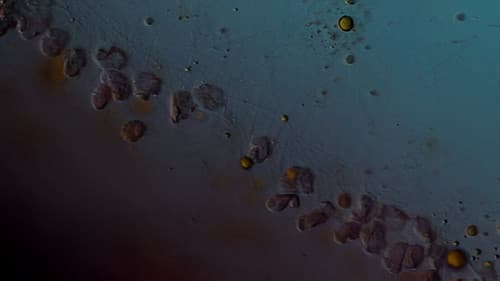 12 Kilometers Bild 1