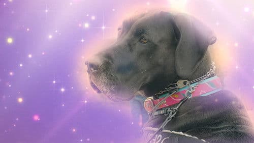 Coming Down Is The Hardest Thing Bild 6