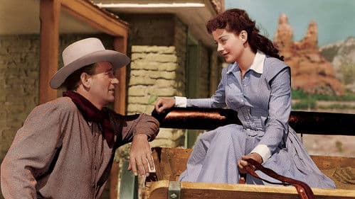 Der schwarze Reiter Bild 2