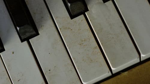 Sentimental Value Bild 1