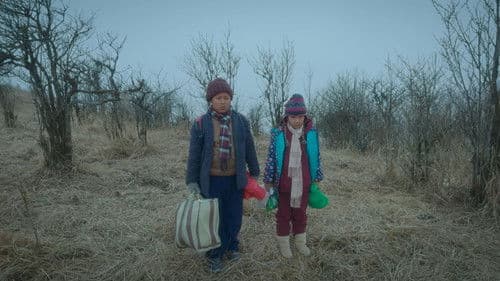 Crossing Borders Bild 1