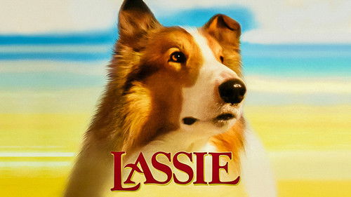 Lassie Bild 5
