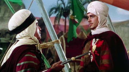 Der Wüstenfalke Bild 6