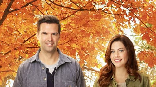 Falling for Vermont Bild 2