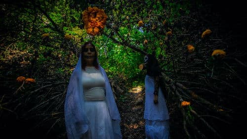 Senderos de Vida Bild 1