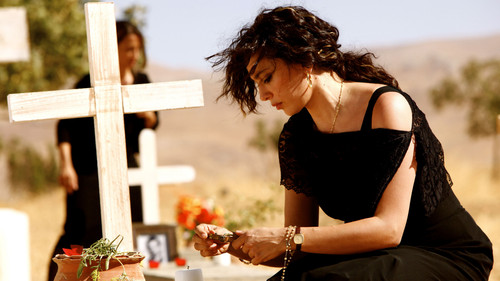 Wer weiss, wohin? Bild 2