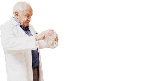 The Scientist: Are We Missing Something? Bild 1