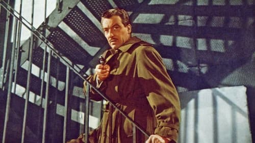 Lady in the Fog Bild 2