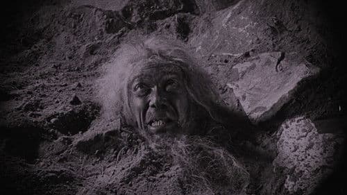 Das indische Grabmal, erster Teil: Die Sendung des Yoghi Bild 7