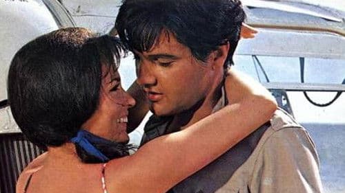 Südsee-Paradies Bild 2