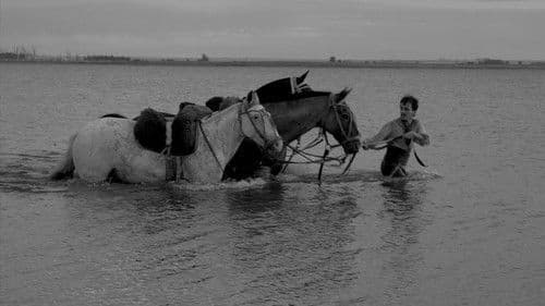 El movimiento Bild 1