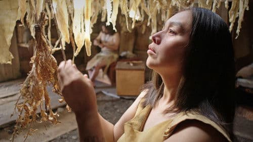 SG̲aawaay Ḵ'uuna Bild 6