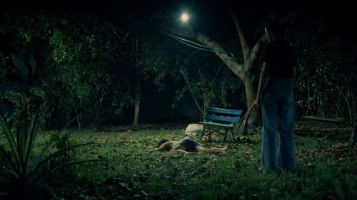 Mycelium Memory Bild 2