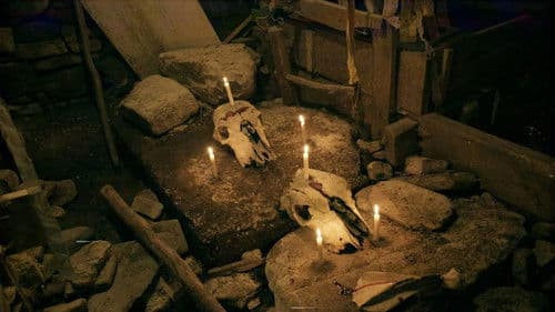 Kara Neme: Gelin Deresi Bild 1