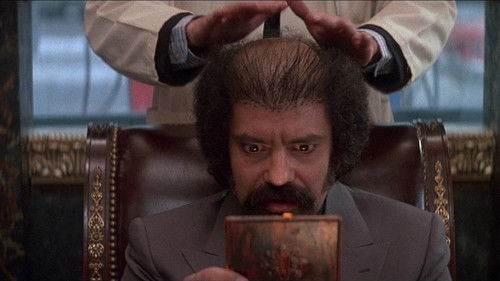 Cheech & Chong - Im Dauerstress Bild 2