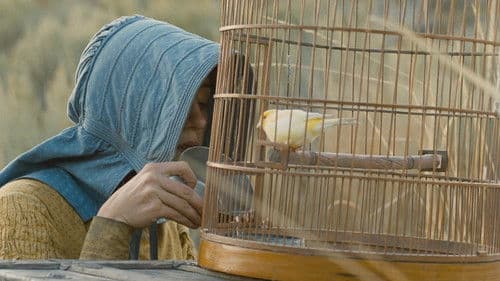 Auf dem Weg nach Oregon Bild 8