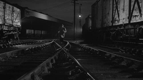 Lockender Lorbeer Bild 7