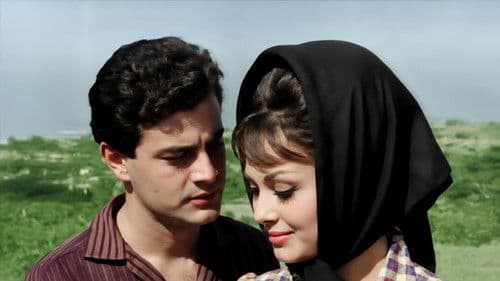 Bütün Suçumuz Sevmek Bild 2