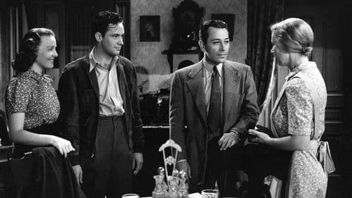 12 Monate Bewährungsfrist Bild 7