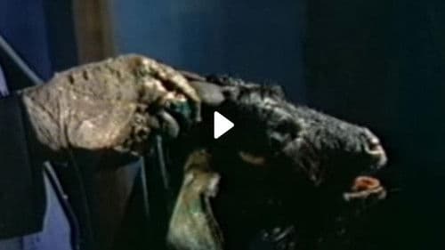 Ritual of Death Bild 1