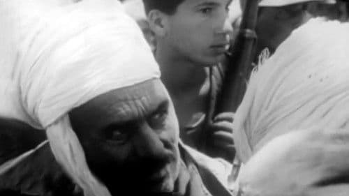 Algérie 1962: Chronique d'un conflit Bild 1