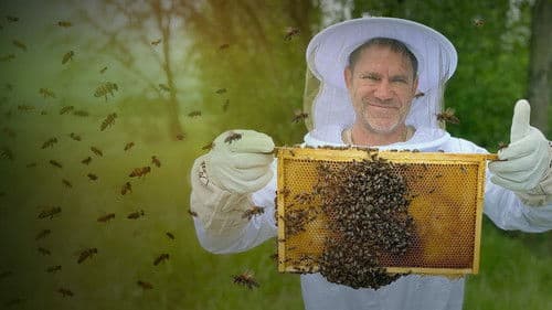 The Secret Life of Bees Bild 1