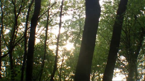 Влюбленный Нил 2 Bild 2