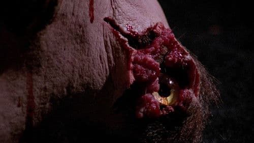 American Rikscha Bild 8