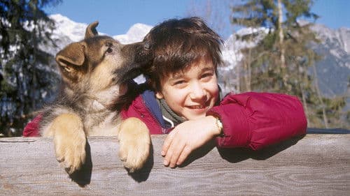 Baby Rex - Der kleine Kommissar Bild 1