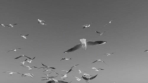 Stones in Cold Water Bild 1