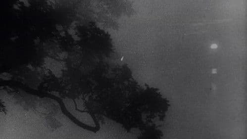 Бежин луг Bild 6