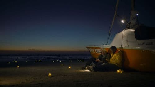 De Vogelwachter Bild 2