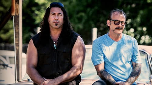 Die Auto-Messies Bild 1