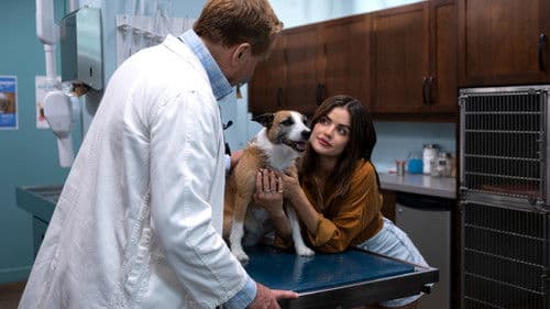 Puppy Love - Hunde zum Verlieben Bild 7