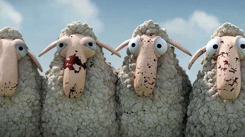 Oh Sheep! Bild 1