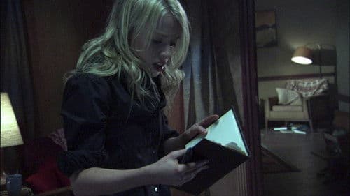 Devil's Diary - Schreib hinein, es wird so sein Bild 3