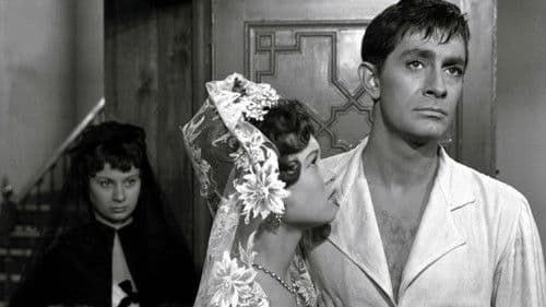 Dunkelroter Venusstern Bild 1