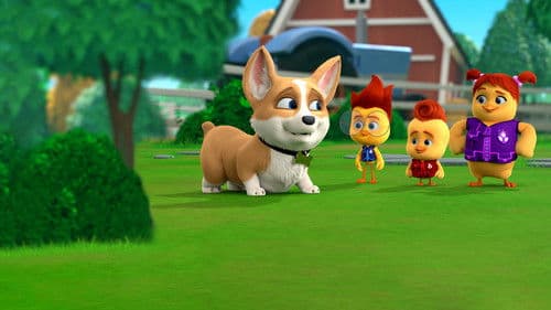 Küken im Einsatz Bild 6