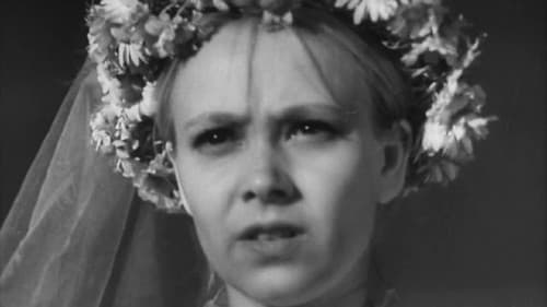 Драма в цирюльне Bild 1