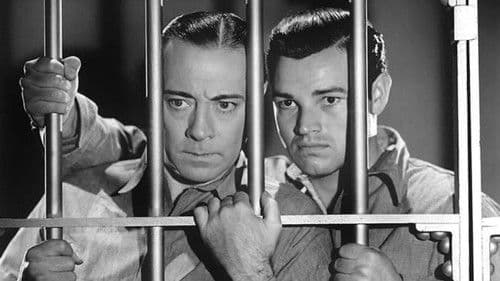 They All Come Out Bild 1