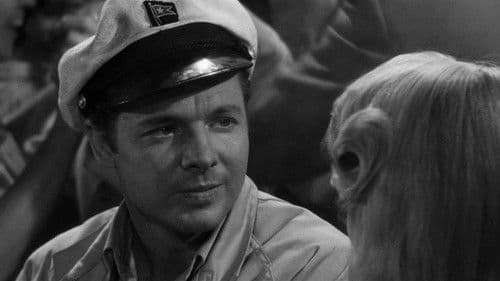 Strich durch die Rechnung Bild 7