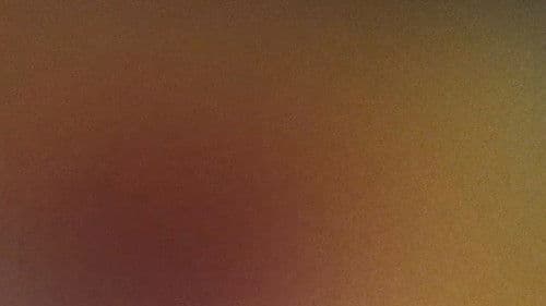 What Are Your Memories? Bild 2