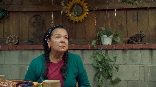 Lucía, the Woman Without a Face Bild 5