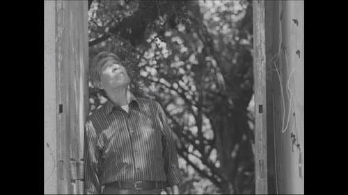 The time for the past Bild 4