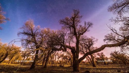 China in Motion Bild 1