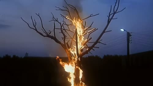 Беспредел Bild 2