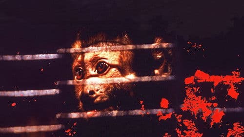 Der Affe im Menschen Bild 3