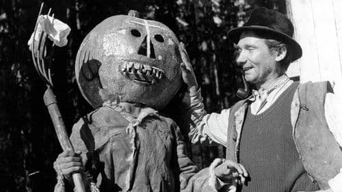 Słońce wschodzi raz na dzień Bild 1