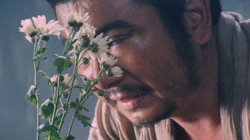 The Festival of Fire Bild 6